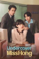Undercover Miss Hong (2026)